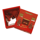 Confezione regalo natalizia di camomilla Milano marry xmas red